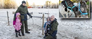 Ponnierna fortsatt försvunna • Sökandet fortsätter • "Alla är välkomna"