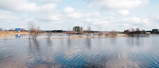 Stångån rensas nästa vinter