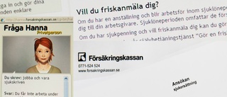 "Finns det en arbetsförmåga måste vi ta tillvara den"