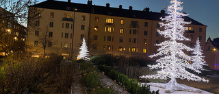 Man utsatt för rån och våld i Hörsalsparken 