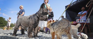 Festlig invigning av Mariefreds hundpark