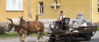 Trotjänaren Conrad är död – ägaren berättar om sorgen