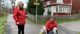 Förslag: Förskola för alla från fem års ålder