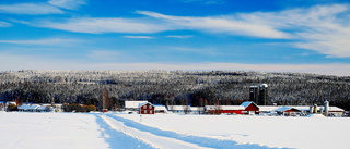 Vinter vid Luleälven             