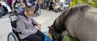 På Attendo Råbyvägen kommer djurtemat med på köpet