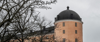 Frågan om konstmuseet blockerad