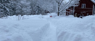 Nära en halvmeter nysnö i Uknadalen: "Jag gillar det!"