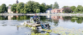 Hans sommarjobb – att röja Eskilstunaån