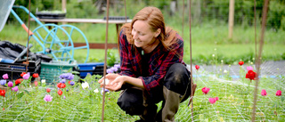 Säsongen för klimatsmarta blommor är här