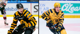 Drömkväll för Sundsvik och Wilsby – när de upplevde NHL-draften tillsammans: ”Fantastisk känsla”