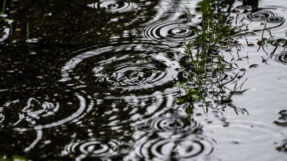 Det väntas upp mot 15 millimeter regn på Gotland de närmaste dagarna.