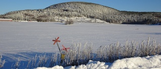 Läsarbilden                   