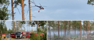 Räddningstjänsten kämpar i skogen • "Har förmodligen brunnit i flera dagar" • Helikoptrar vattenbombade