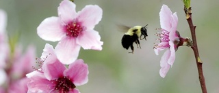 Finns ingen anledning att hymla om flygskatt