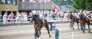 Storvinst på travet – delar på kvarts miljon