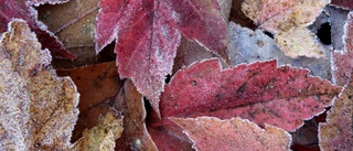 VÄDER Meteorologen lovar både snö och tö