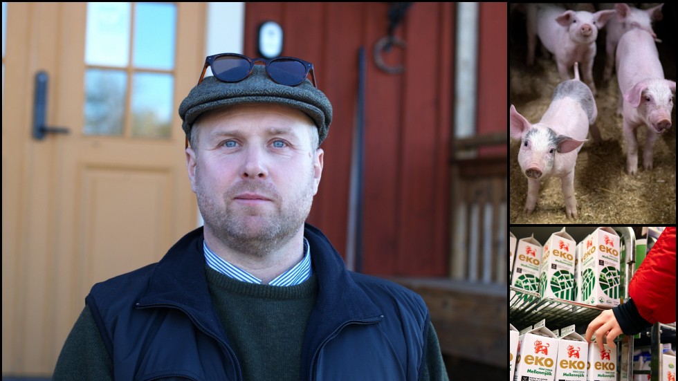 "Stöd behövs inom flera olika verksamhetsgrenar för att produktionen ska kunna fortsätta. Vi vet att framför allt djurproducenter står inför valet om de ska fortsätta eller inte för att lönsamheten varit så dålig under en längre period", säger Johan Lagerholm, LRF Sörmlands ordförande, som välkomnar stödpaketet. Samtidigt ser han att fler åtgärder behövs. 
