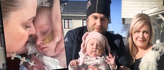 Elvira, 2 år, behöver donation för att överleva • Föräldrarna vädjar • "Det är som att vara ute i krig"