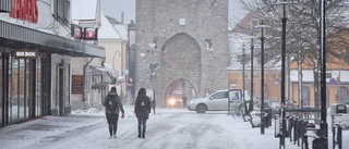 Två greps för stölder i Visby