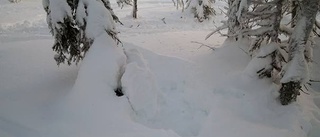 Misstänkt illegal jakt på järv