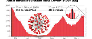 Antalet covidpatienter som behöver intensivvård minskar i landet