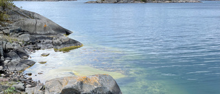 Visa hänsyn till varandra och naturen i vår skärgård. 