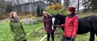 Gården kan bli vägen till arbetslivet