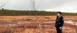 Arbetet på myrarna – en kamp mot en tickande bomb: "Stor klimatnytta"