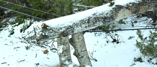 Farlig storm på väg mot Norrbotten