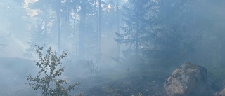 Nu gäller eldningsförbud i hela länet