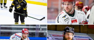 Hockeyallsvenskan slutspelad – så gick det