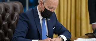 Biden tillsätter utredning om att reformera HD