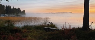 Läsarbilden: Älgjaktsmorgon   