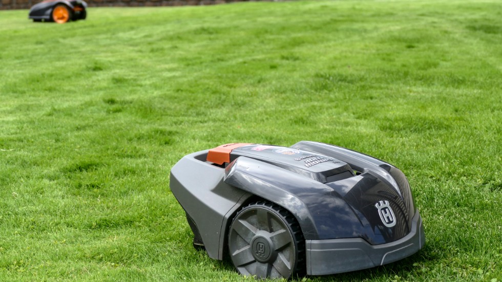 Robotgräsklippare i arbete på en gräsmatta.