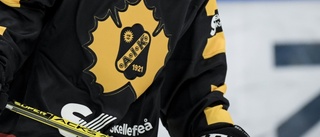 AIK-junior flyttar utomlands: ”Stolt över att presentera mitt val”