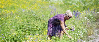 Trevlig midsommar i skuggan av alla dessa kriser