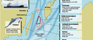 Flytande vindkraftverk mellan Öland och Gotland