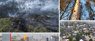 Så påverkas du i Motala och Vadstena av klimatkrisen