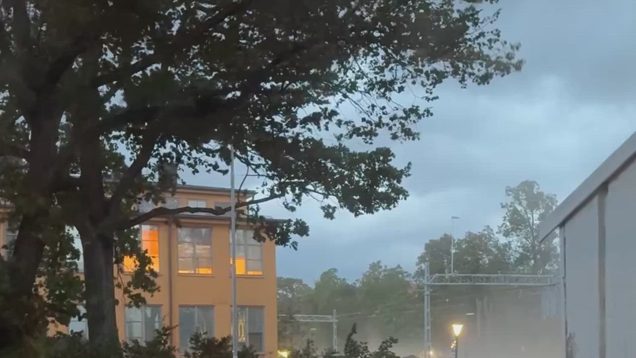 Här kollapsar trädet i ovädret