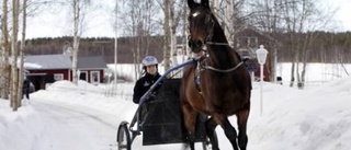 Scandalen i rampljuset igen