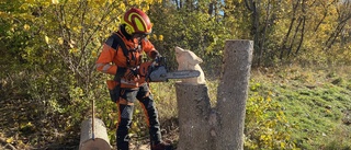 Här inreder studenterna rum i naturen i Flogsta • "Vissa är oroliga att vi ska såga ner hela skogen"