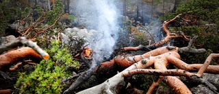 Falskt brandlarm i Rutvik