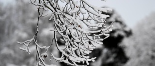 Kraftigt försenade flyg i snöovädret