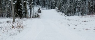 Snöbrist hotar Stellinloppet