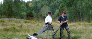 GRÄSligt roligt vid slåtterfesten