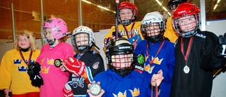 En härlig säsong för hockeyskolan