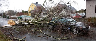 Östergötland kom lindrigt undan i stormen