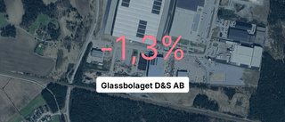 Glassbolaget D&S AB tappade 32,6 procent av intäkterna