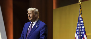 Trump: Zelenskyj "inte viktig" vid samtalen