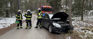 Körde rätt in i ett träd – klarade sig helskinnad